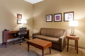 Гостиница Comfort Inn & Suites Peachtree Corners  Норкросс